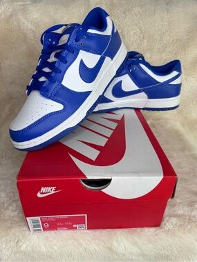 NWB- Nike Dunk Low - men’s 9